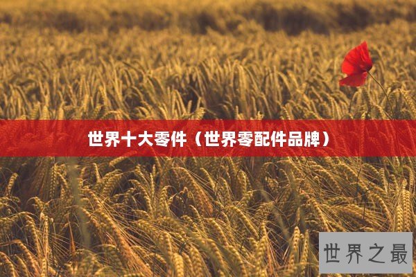 世界十大零件（世界零配件品牌）