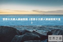 世界十大感人球迷视频（世界十大感人球迷视频大全）