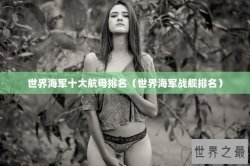 世界海军十大航母排名（世界海军战舰排名）