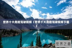 世界十大危险驾驶视频（世界十大危险驾驶视频下载）