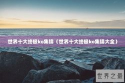 世界十大终极ko集锦（世界十大终极ko集锦大全）