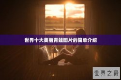 世界十大美丽青蛙图片的简单介绍