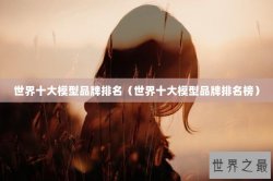世界十大模型品牌排名（世界十大模型品牌排名榜）