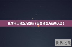 世界十大核动力商船（世界核动力航母大全）