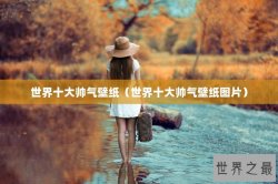 世界十大帅气壁纸（世界十大帅气壁纸图片）