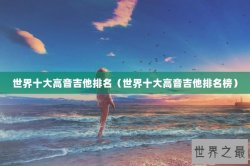世界十大高音吉他排名（世界十大高音吉他排名榜）