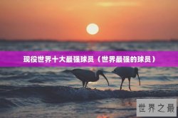现役世界十大最强球员（世界最强的球员）