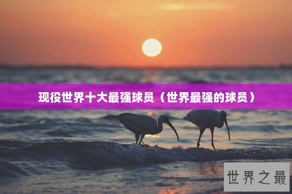 现役世界十大最强球员（世界最强的球员）