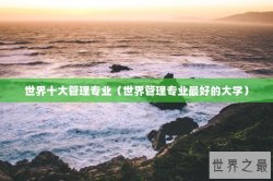 世界十大管理专业（世界管理专业最好的大学）