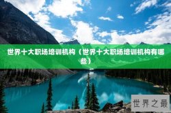 世界十大职场培训机构（世界十大职场培训机构有哪些）