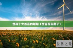 世界十大首富的婚姻（世界首富妻子）