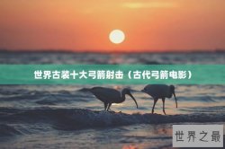 世界古装十大弓箭射击（古代弓箭电影）