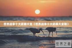 世界战争十大武器大全（世界战争十大武器大全图）