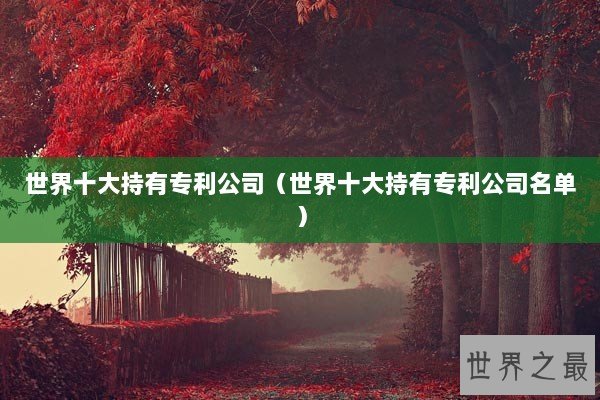 世界十大持有专利公司（世界十大持有专利公司名单）