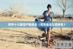 世界十大液压产地排名（世界液压公司排名）