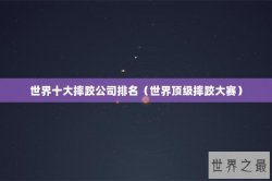 世界十大摔跤公司排名（世界顶级摔跤大赛）