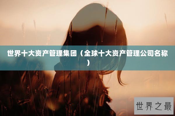 世界十大资产管理集团（全球十大资产管理公司名称）