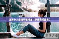 世界十大危险拳手排名（拳击危险排名）