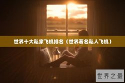 世界十大私家飞机排名（世界著名私人飞机）