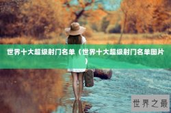 世界十大超级射门名单（世界十大超级射门名单图片）