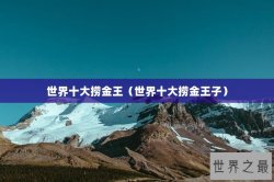 世界十大捞金王（世界十大捞金王子）