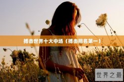 搏击世界十大中场（搏击排名第一）
