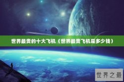 世界最贵的十大飞机（世界最贵飞机是多少钱）