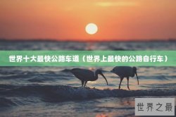 世界十大最快公路车道（世界上最快的公路自行车）