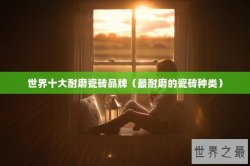 世界十大耐磨瓷砖品牌（最耐磨的瓷砖种类）