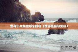 世界十大起重吊车排名（世界最强起重机）