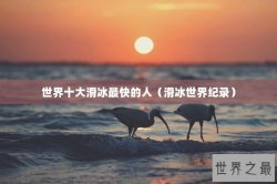 世界十大滑冰最快的人（滑冰世界纪录）