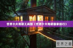 世界十大奇葩工具图（世界十大奇葩国家排行）