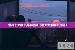 世界十大翻车高手视频（国外大型翻车现场）