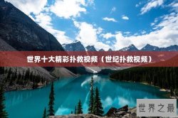 世界十大精彩扑救视频（世纪扑救视频）