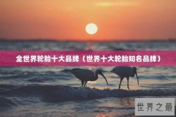 全世界轮胎十大品牌（世界十大轮胎知名品牌）