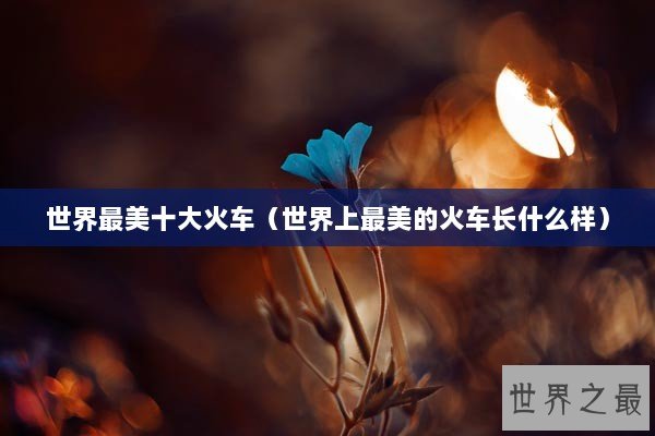 世界最美十大火车（世界上最美的火车长什么样）