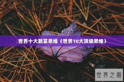 世界十大致富思维（世界10大顶级思维）