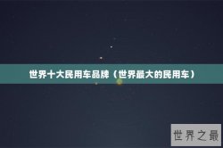 世界十大民用车品牌（世界最大的民用车）