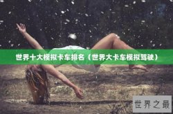 世界十大模拟卡车排名（世界大卡车模拟驾驶）