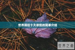 世界现任十大总统的简单介绍