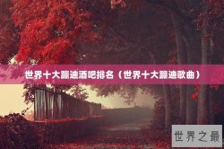 世界十大蹦迪酒吧排名（世界十大蹦迪歌曲）