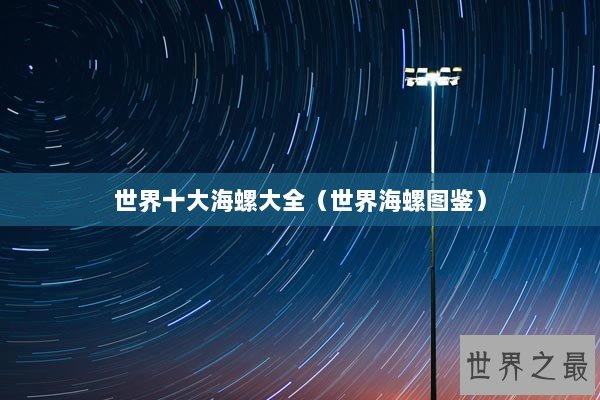 世界十大海螺大全（世界海螺图鉴）