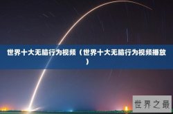 世界十大无脑行为视频（世界十大无脑行为视频播放）