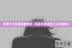 世界十大珍贵空难视频（东嘉木盘点世上10大空难）