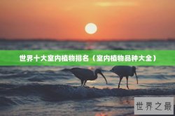 世界十大室内植物排名（室内植物品种大全）