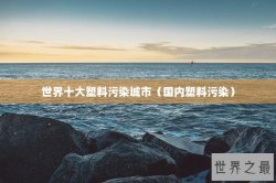 世界十大塑料污染城市（国内塑料污染）