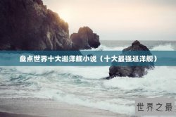 盘点世界十大巡洋舰小说（十大最强巡洋舰）