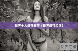世界十大烟花赛事（世界烟花汇演）
