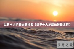 世界十大护膝仪器排名（世界十大护膝仪器排名榜）