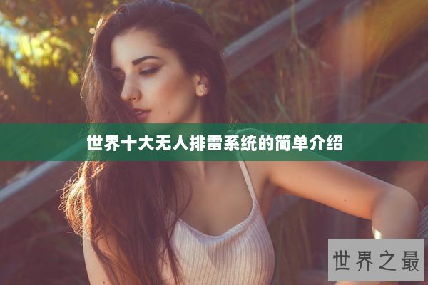 世界十大无人排雷系统的简单介绍